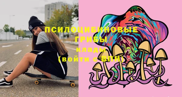 первитин Краснослободск