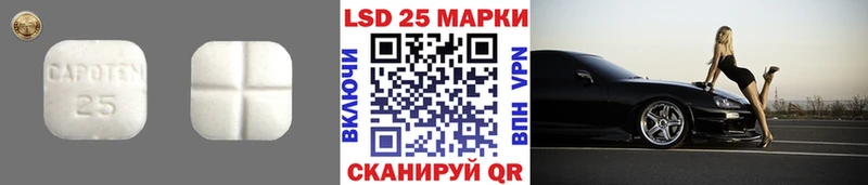 Купить закладки  Приволжск  ЛСД экстази ecstasy 